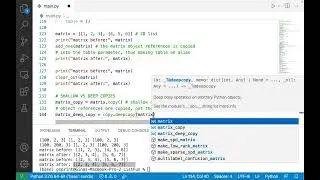Introduction to Programming with Python: List Aliasing, Pass by Object Reference, Shallow/Deep Copy