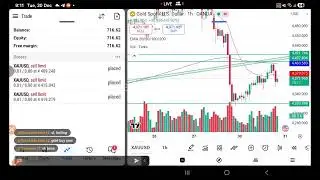 Xauusd Live Market : Forex & Crypto live gold | Goat Funded Account live trading