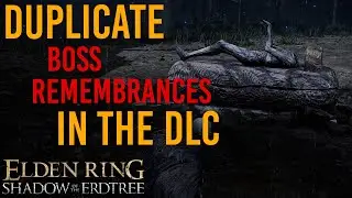 How to DUPLICATE BOSS REMEMBRANCES in the DLC | Elden Ring Shadow of the Erdtree