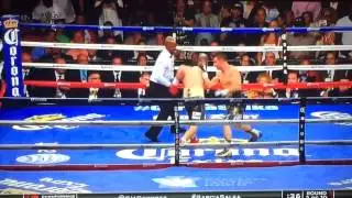 Garcia vs Salka