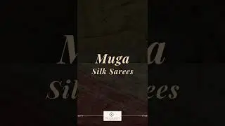 Assam&rsquo;s Golden Legacy &mdash; Two Masterpieces | Muga Silk Saree Collection