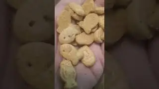 Ghostie grub reviews- harry Potter butter beer ice cream.  Is this  knocking on my griffyndoor?