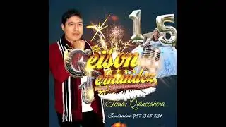 GEISON FERNANDEZ-QUINCEA&Ntilde;ERA   CONTRATOS:957315731/PRIMICIA 2025
