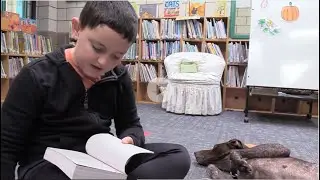 Meet Taylor - Salem School's Therapy Dog