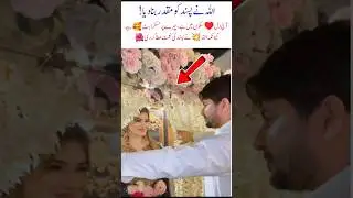 Allah pak sb ky achy naseeb kry #allah #love #viral #shorts #education #trending #viralvideo #funny