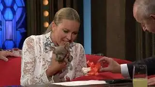 2. AngelA, čivava Simony Krainové - Show Jana Krause 2. 9. 2020