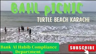 Bank Al Habib Picnic 2024|Compliance Department|Turtle Beach Karachi|Best Bank|Friendly Environment