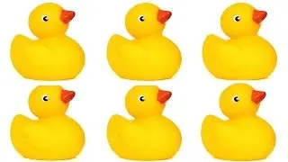Five Little Ducks !! No No It's Three little Surprise Rubber ducks for kids