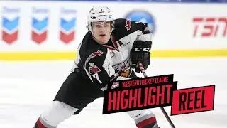 2017-18 HIGHLIGHT REEL | Ty Ronning