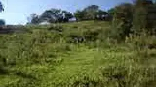 grassboard guigo vaca