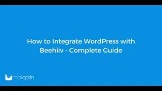 How to Integrate WordPress with Beehiiv - Complete Guide
