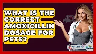 What Is The Correct Amoxicillin Dosage For Pets? - Ask A Pet Vet