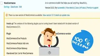 How To Fix Woocommerce Updating Error | 100% Working