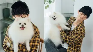 オーイシマサヨシさんと愛犬ろく君が遊びにきてくれました！（ポメラニアン｜月刊わんこ撮影オフショット）