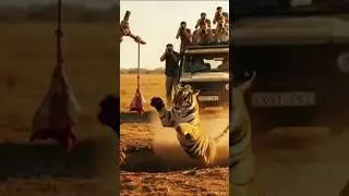 animal forest meet catch #animals #forest #