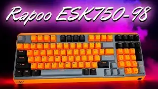 Клавиатура Rapoo ESK750-98