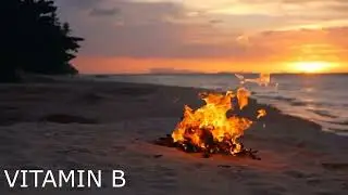 VITAMIN B [AMBIENT\TRANCE\FLUTE\ETHNO]