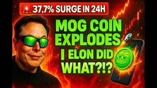 🚀Mog Coin Surges 37.7% in 24H | Elon Musk & Garry Tan Fuel the $MOG Hype! #MogCoin #CryptoNews