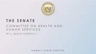 HHS, AEN-HHS DEFER, AEN-HHS DEFER Public Hearings 3-15-2024