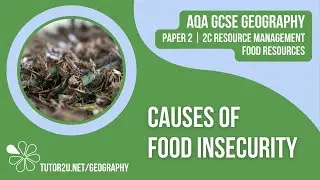 Causes of Food Insecurity | AQA GCSE Geography | Food 2