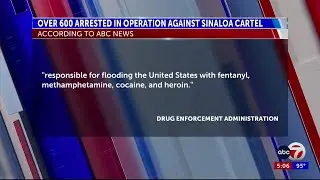 DEA arrests over 600 people in massive operation against the Sinaloa drug cartel
