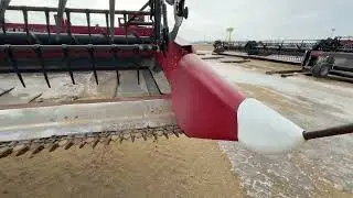 40' CaseIH Draper Head