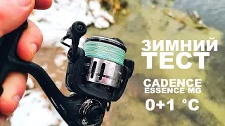 ДАЖЕ Я НЕ ВЫДЕРЖАЛ... Но катушка CADENCE ESSENCE справилась! Рыбалка на спиннинг зимой.