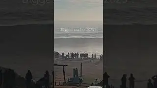 Biggest swell of 2025? La marejada m&aacute;s grande en Punta de Lobos 2025?  video completo Ma&ntilde;ana  🔥