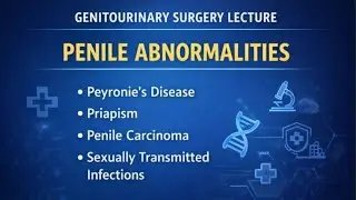 Penile Abnormalities Explained | Peyronie&rsquo;s Disease, Priapism, Penile Carcinoma & STDs | 