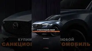 Купим и привезём любой санкционный автомобиль из Японии и Кореи🔥Оставляй заявку прямо сейчас!