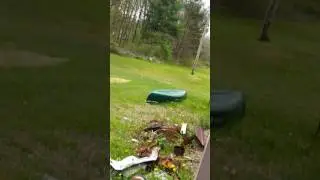 the bumble bee round up
