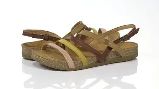 El Naturalista Zumaia N5248 SKU: 9501511