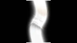 Mobile verification on #shortsfeed #video #shorts #mnojdey