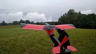 maiden flight of my new fpv carrier
