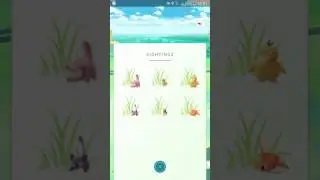 My pokebox