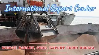 Corn for export from Russia. Sea Cargo Port. Agro. IEC