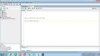How to increase font size in SQL Developer