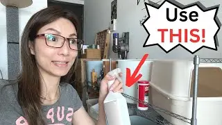 How To Get Rid Of Cat Urine Smell (Often Mistaken for 