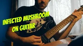 Infected Mushroom - Suliman. Playthrough Guitar Cover (with looper)