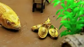 Funny Fish Videos ❤️ Rainbow Koi Fish Playing With Spaceships, Candy Teeth,Frogs Dj | Stop Motion