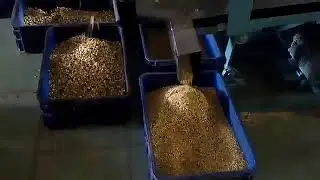 Top Good Price Fuel Bio Oil CNSL Viet Nam Cashew Nut Shell Oil from VietNam factory cheapest