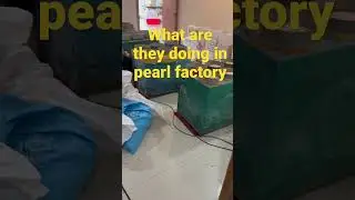 What are they doing in pearl factory?