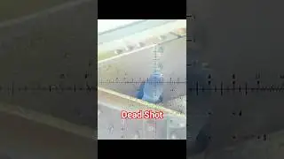 OMG😱Pigeon Hunting With Airgun #shorts #viralshorts2025