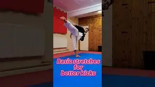 Basic stretching ideas for better kicks #karate #martialarts #stretching #shotokan #dojo #tips #kick