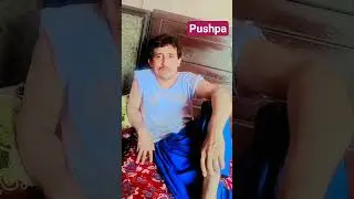 Pushpa trailer@@##🤔🐱😆😆