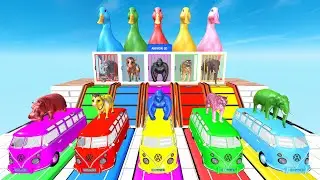 Long Slide Game Cow, Lion, Elephant and Gorilla Hippopotamus Tiger 3d Animal Game Funny 3d Animals