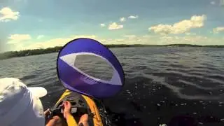Wind Paddle Kayaking
