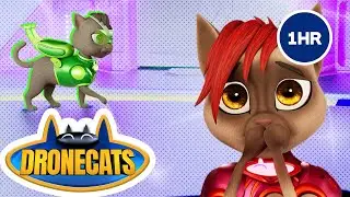 🕰️ DRONECATS: 1 HOUR LONG! 😸 | Superhero Cartoon | 33
