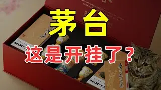 【半佛】茅台这是开挂了？