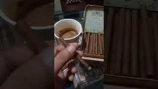 Mini Cigar - BinCigar